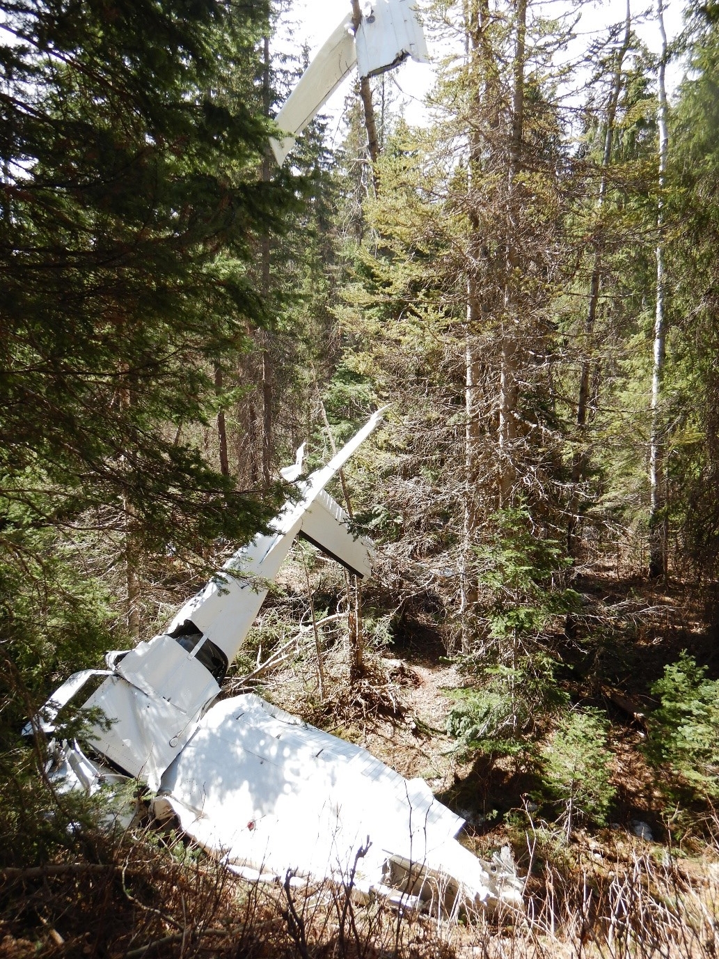Wreckage of Cessna 182E aircraft found in densely wooded area near Smithers, B.C.