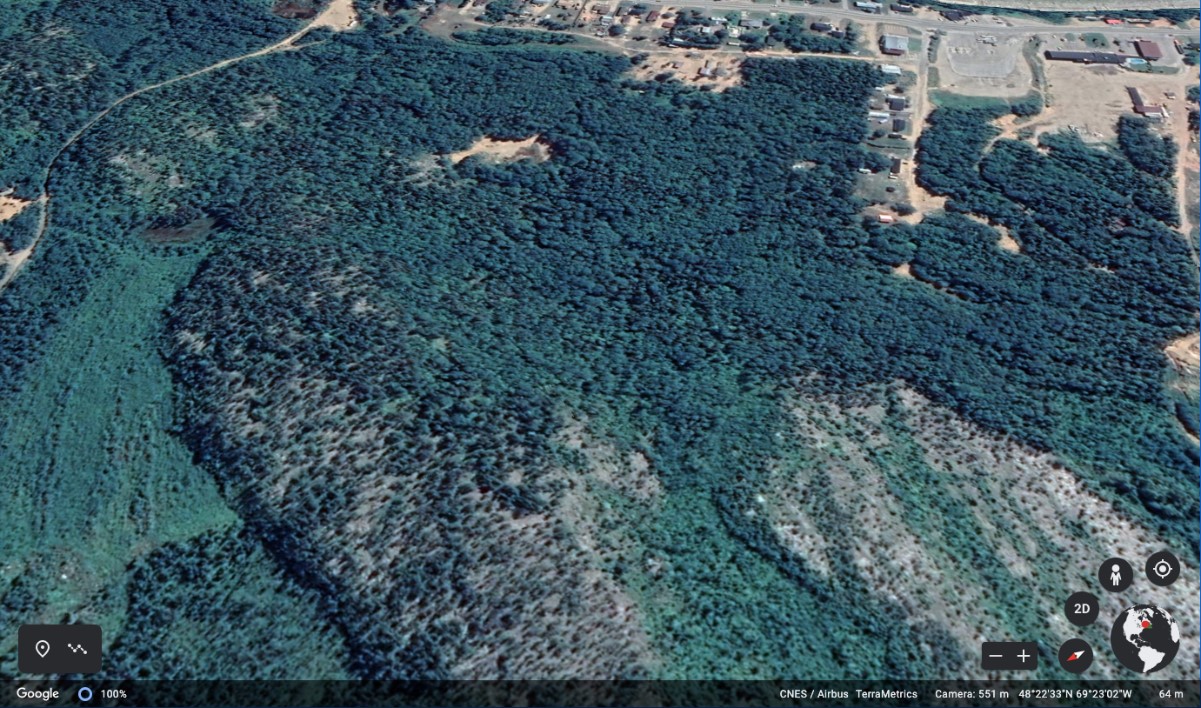 Aerial view of the occurrence area in Les Escoumins, Quebec (source: Google Earth)