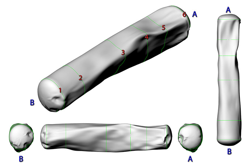 Oblique views of reconstructed surface volume for tank car CTCX 735572 showing A & B ends with labelled cross-sections