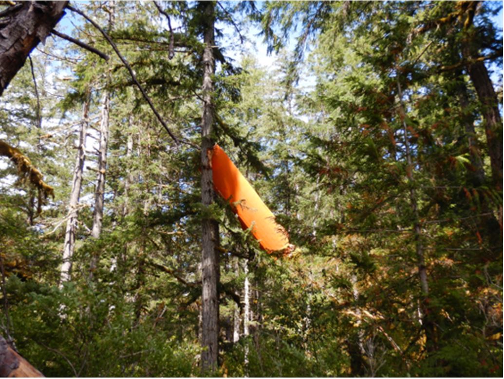 Figure 3. L’aile droite de l’aéronef à l’étude logée dans un arbre (Source : GRC)