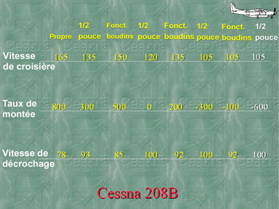 Appendix 3 - Cessna 208B performance in icing conditions